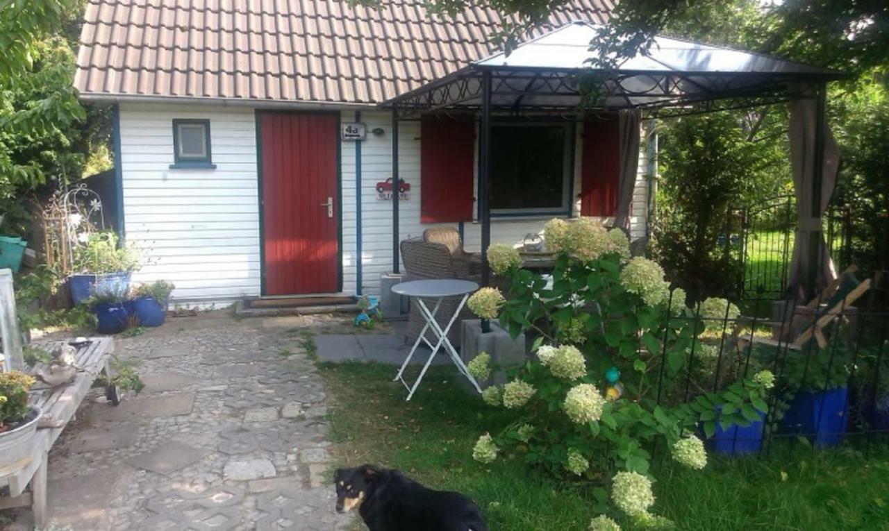 Kleine